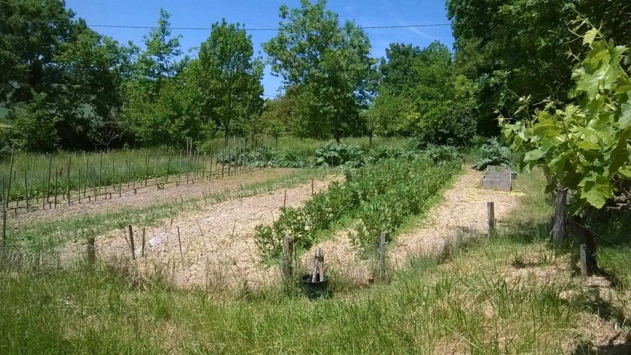 Photo of Others in Puylaurens