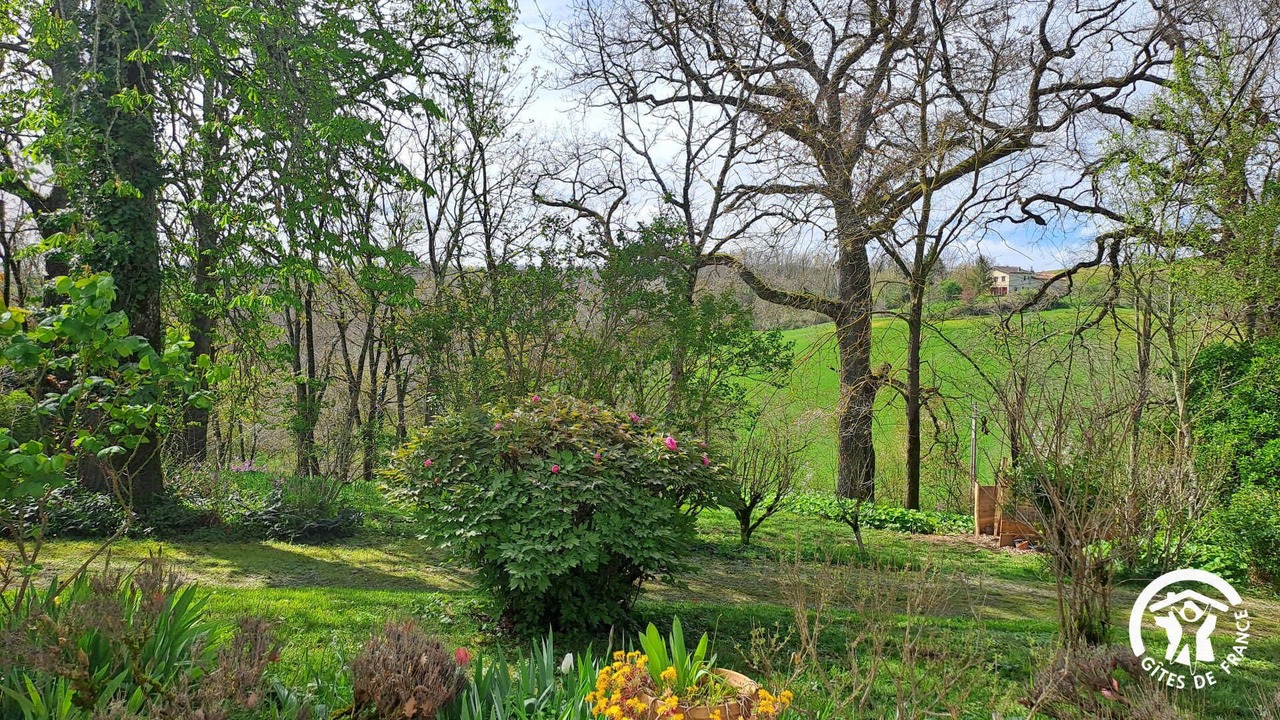 Photo of Outdoor in Puylaurens