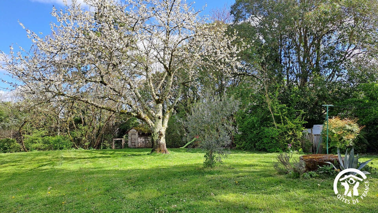 Photo of Outdoor in Puylaurens