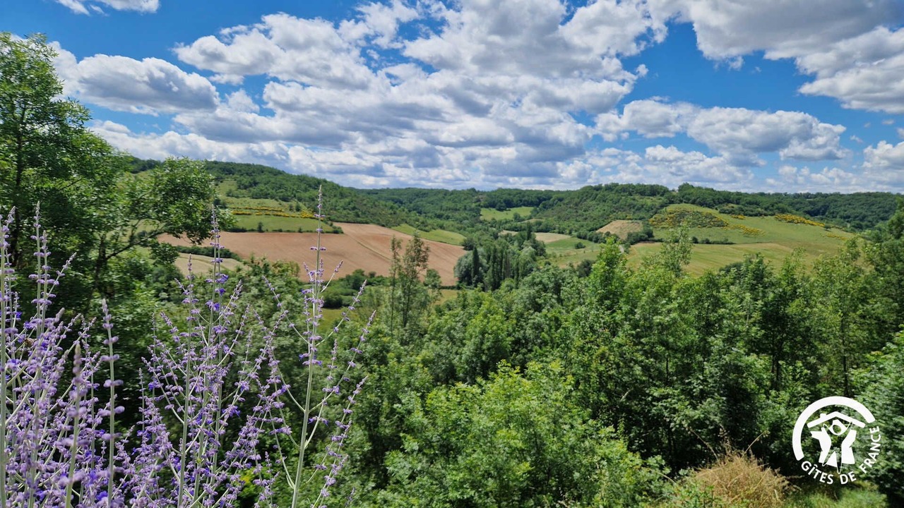 Photo of Others in Cordes-sur-Ciel