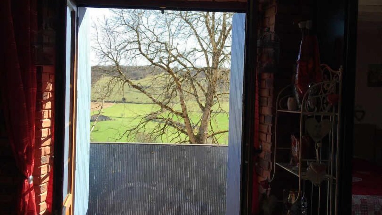 Photo of Others in Cordes-sur-Ciel