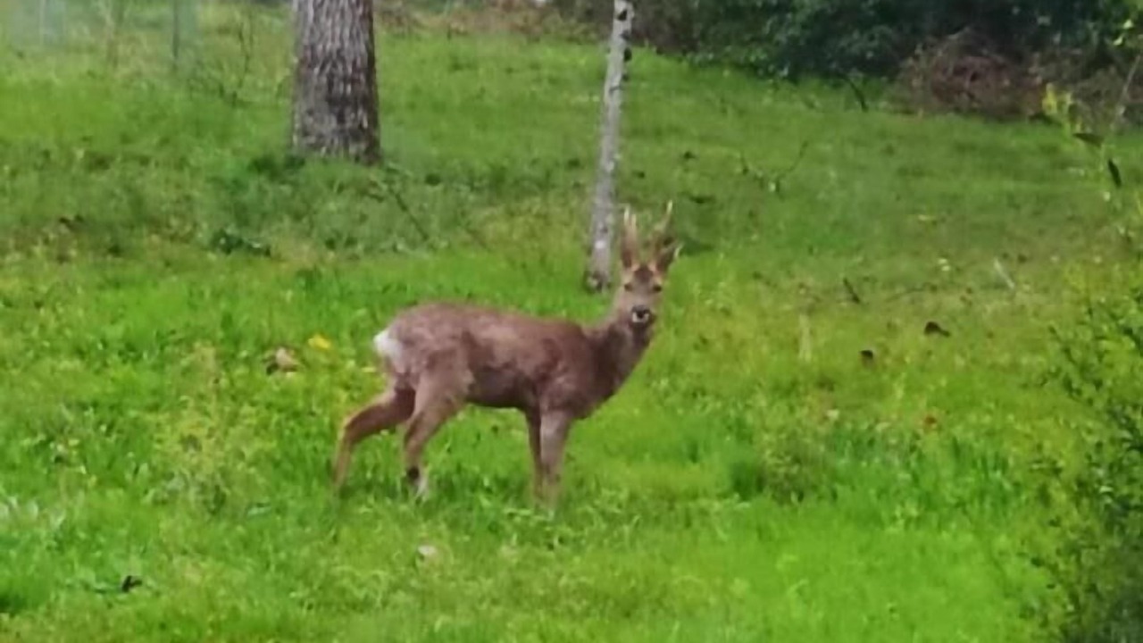 Photo of Others in Pont-de-Larn