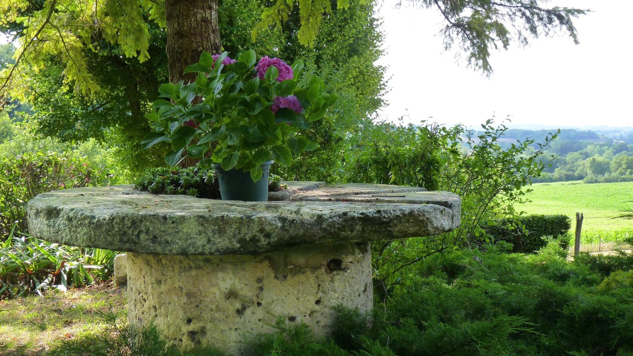 Photo of Outdoor in Ronel