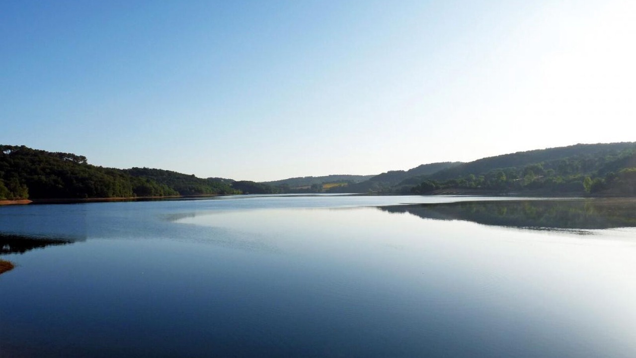 Photo of Others in Ronel