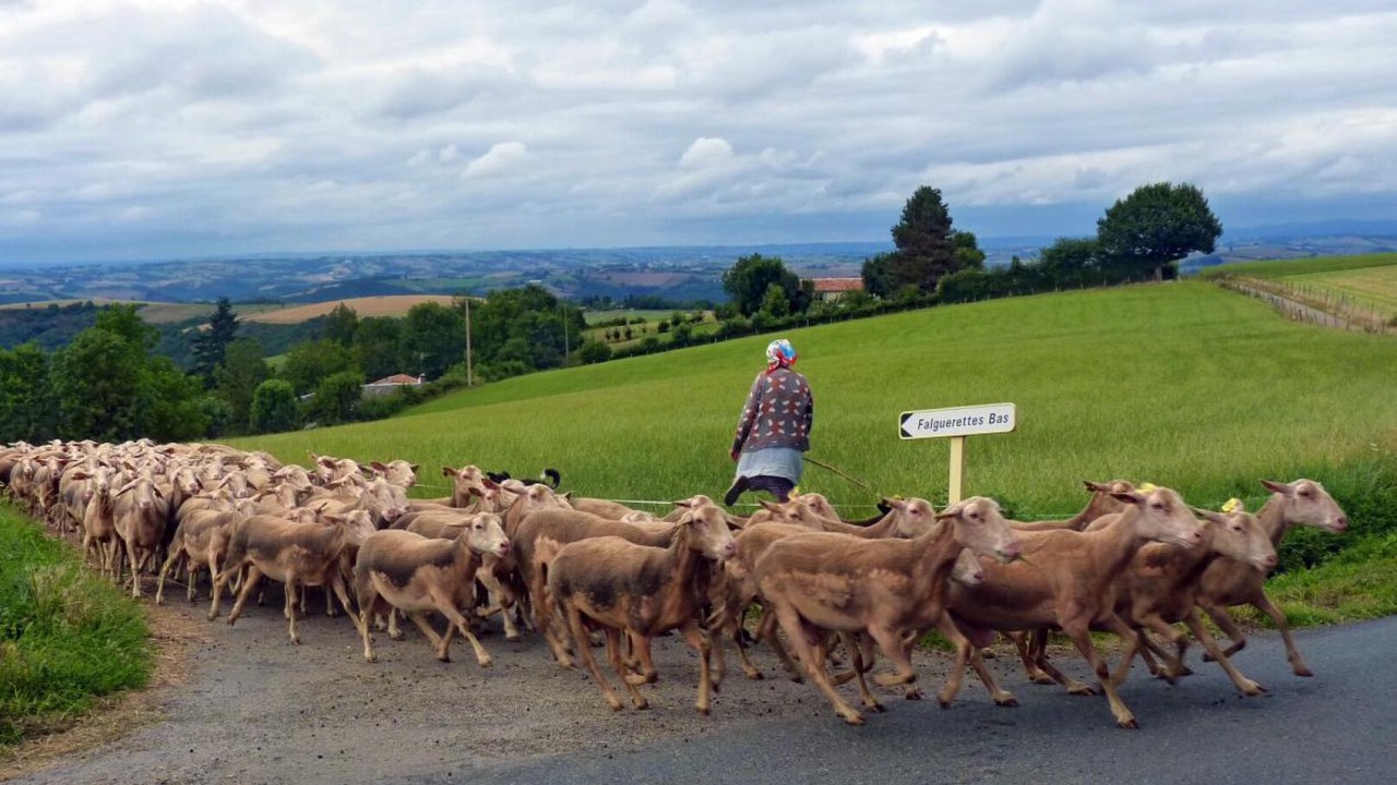 Photo of Others in Ronel