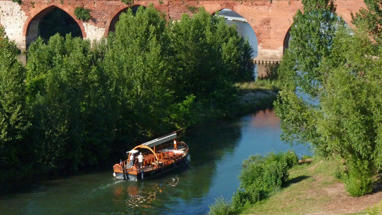 Photo of Others in Ronel