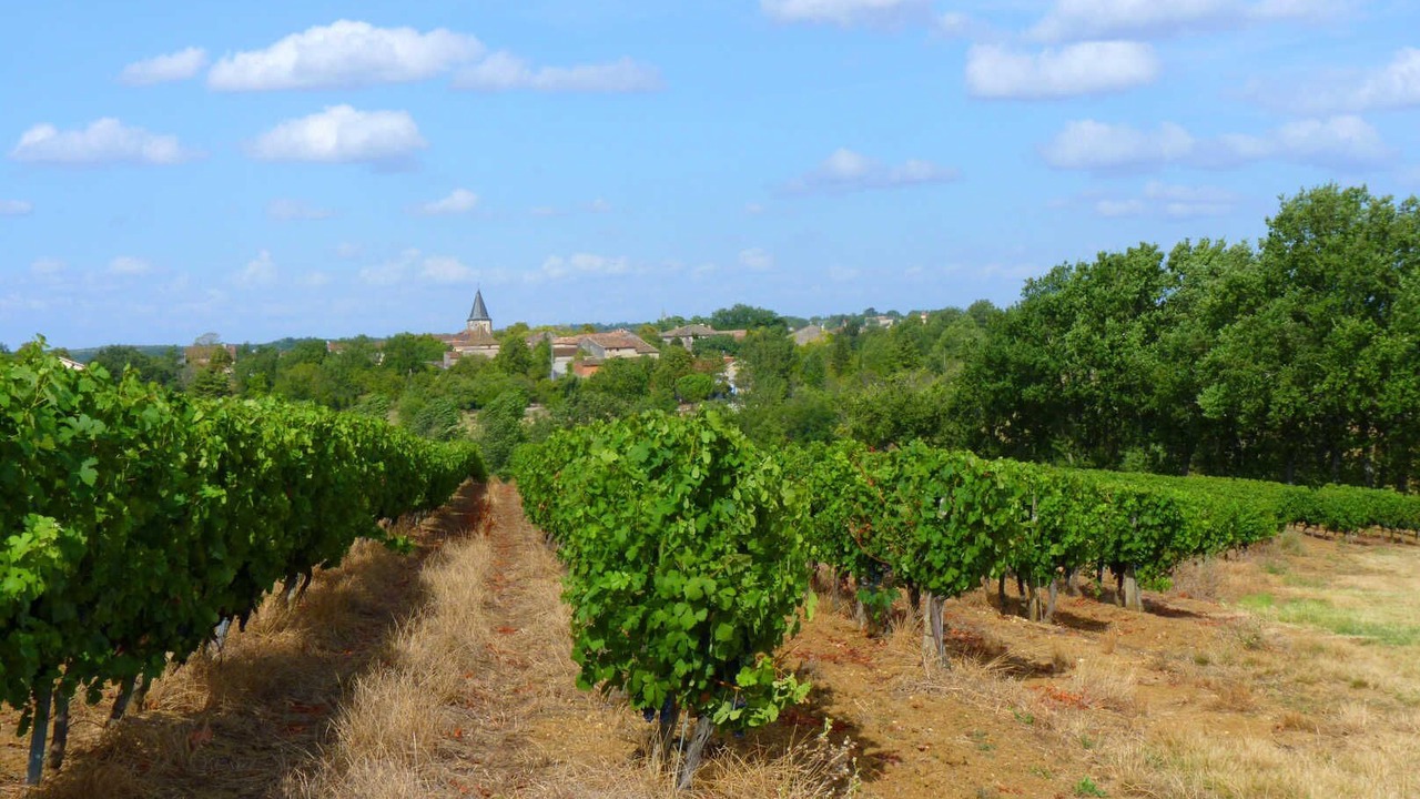 Photo of Others in Ronel