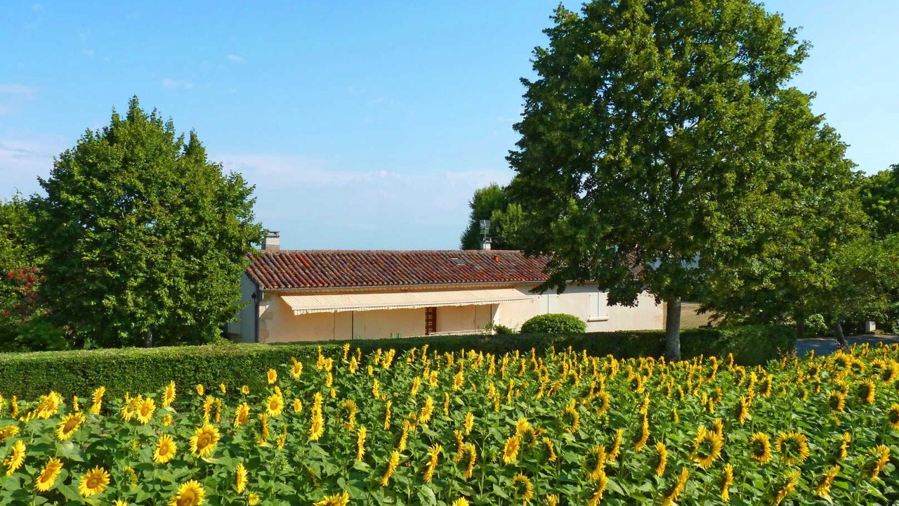 Photo of Outdoor in Ronel