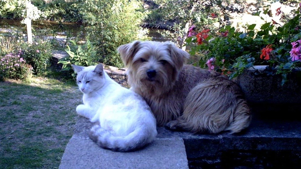 Photo of Outdoor in Curvalle