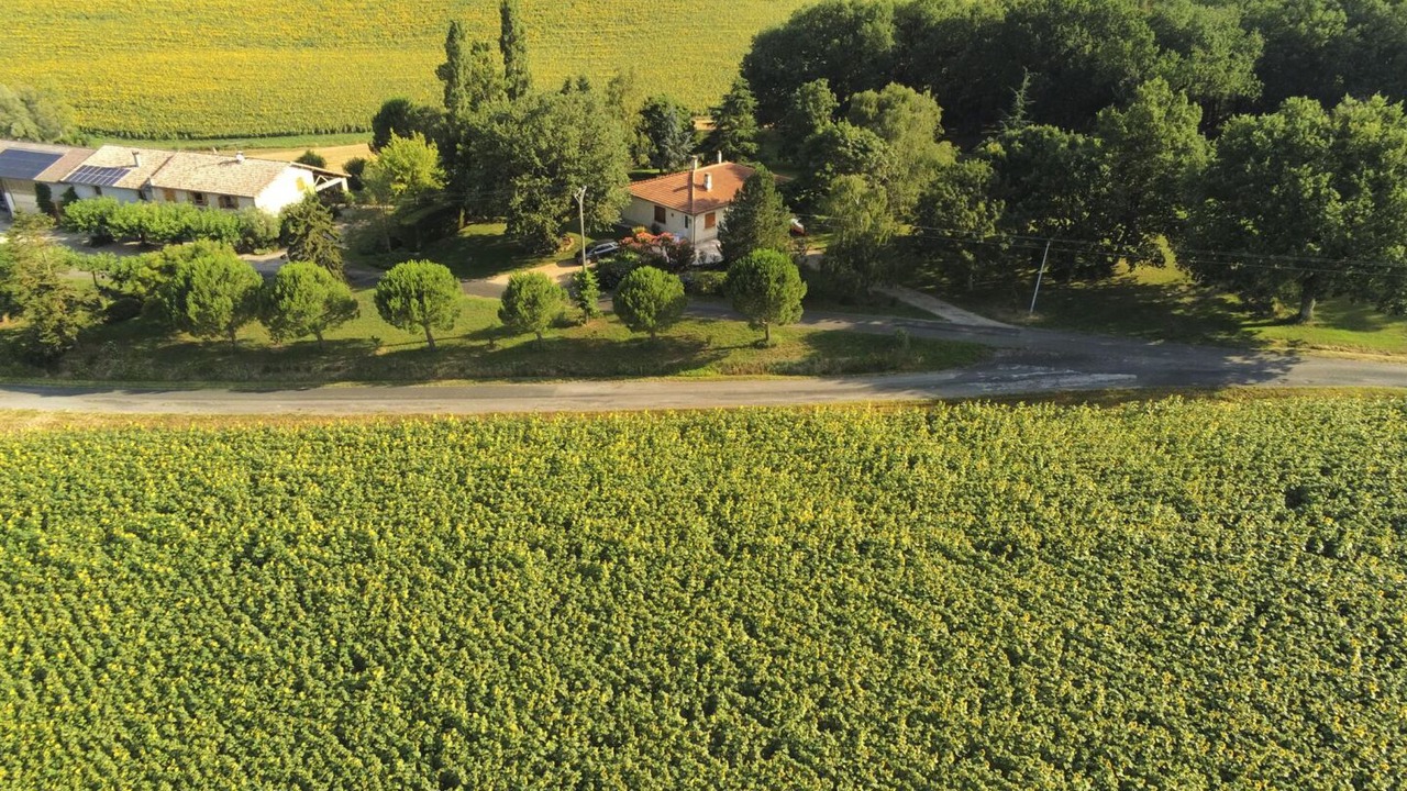 Photo of Outdoor in Montvalen