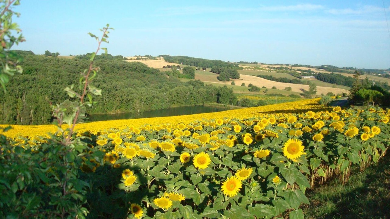 Photo of Others in Montvalen