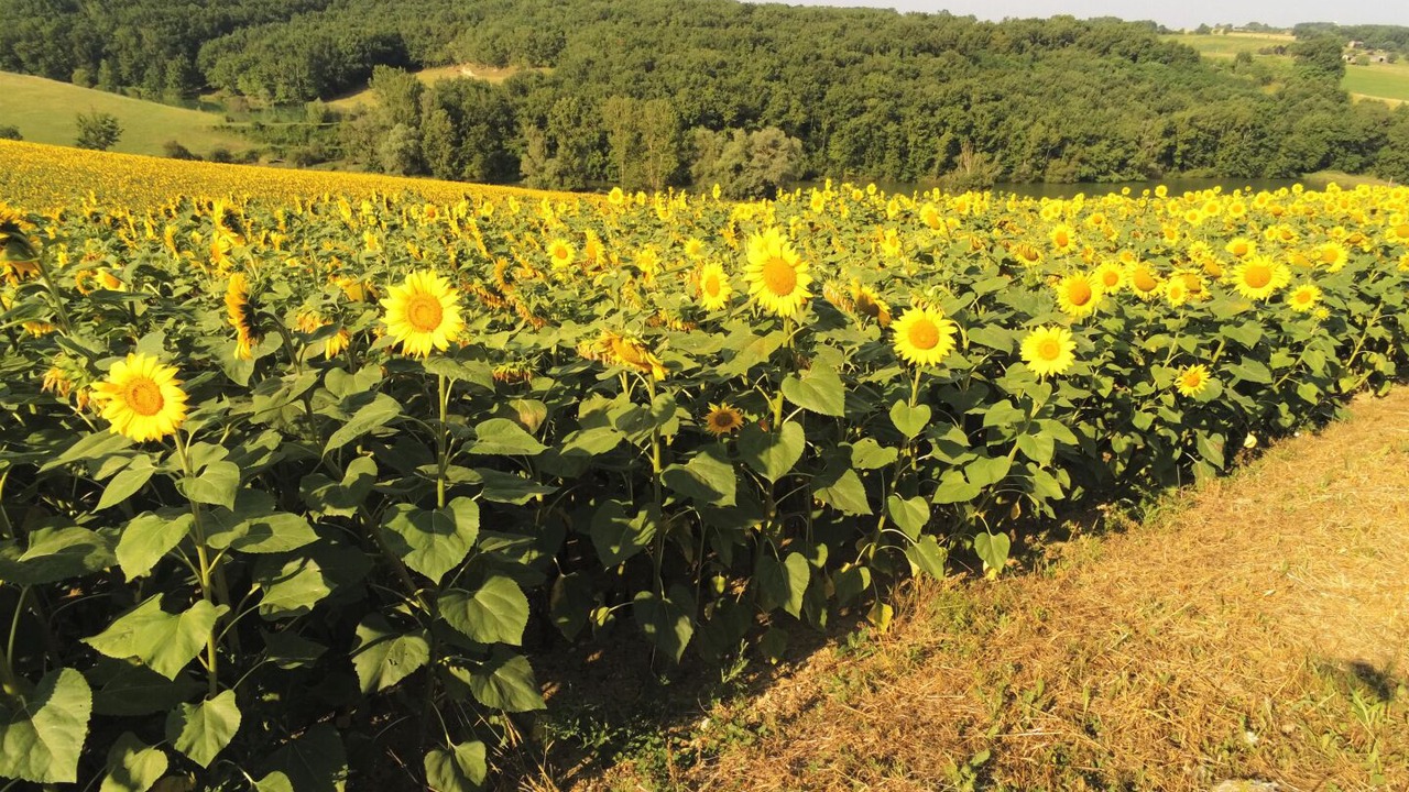 Photo of Others in Montvalen