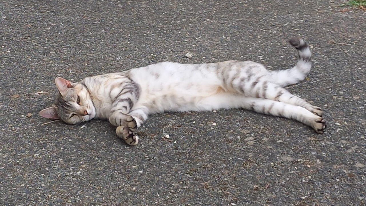 Photo of Others in Gaillac