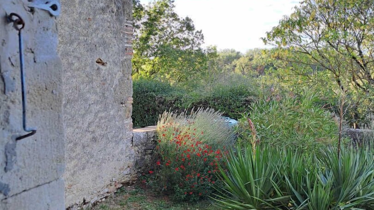 Photo of Outdoor in Puylaurens