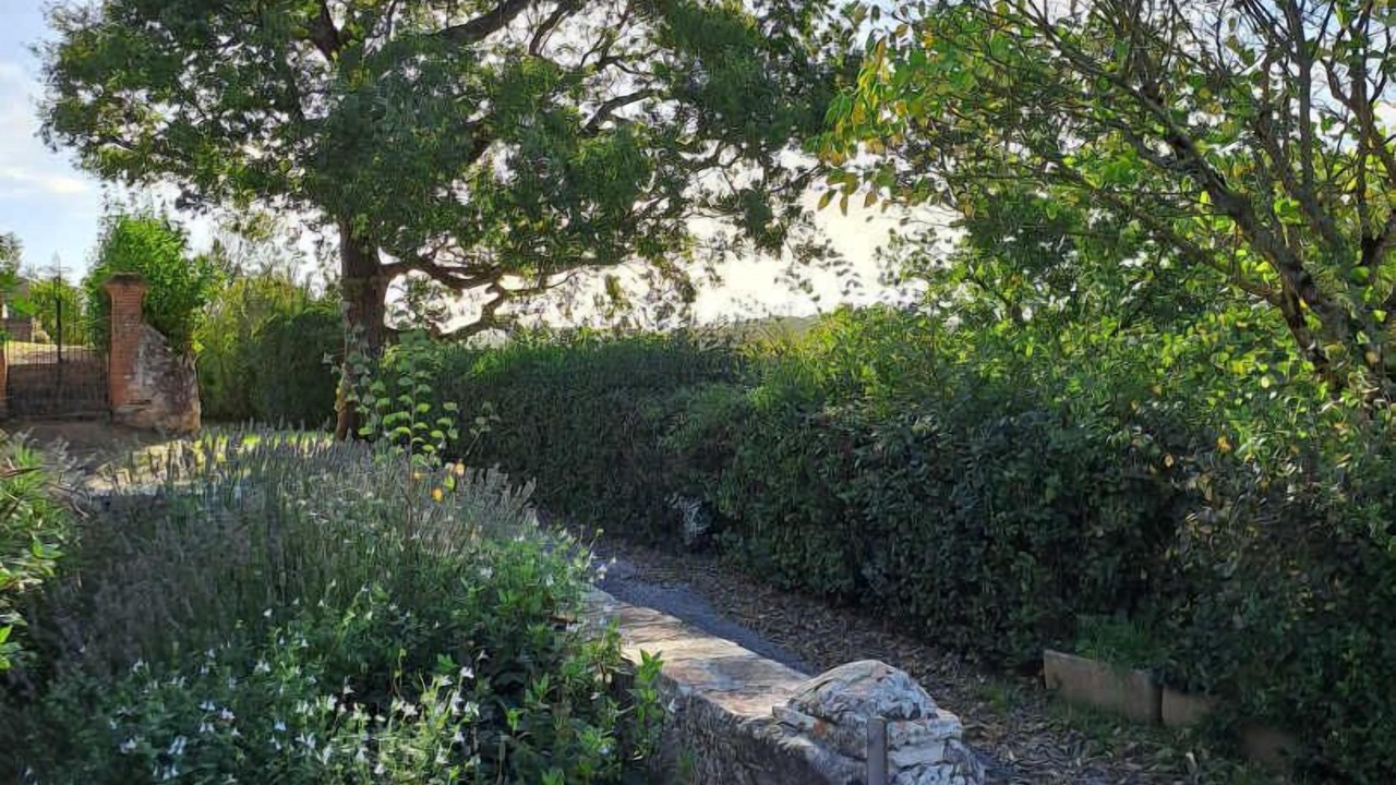 Photo of Outdoor in Puylaurens
