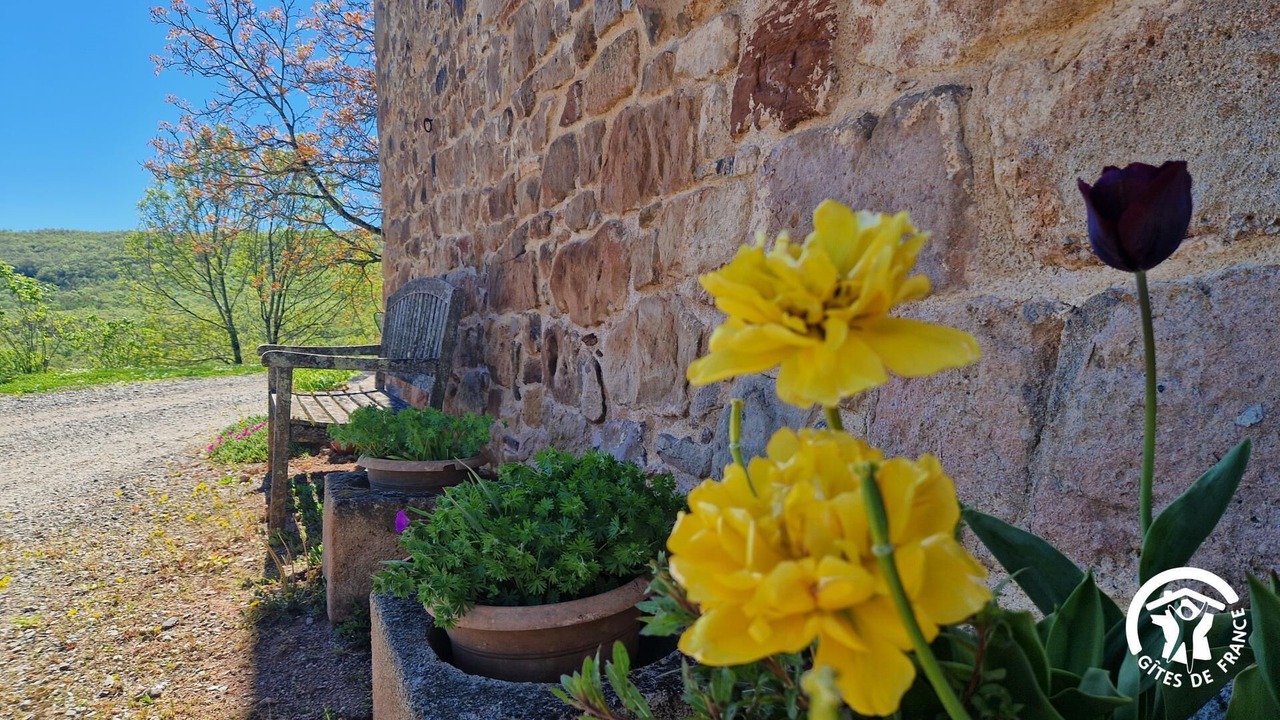 Photo of Outdoor in Vaour