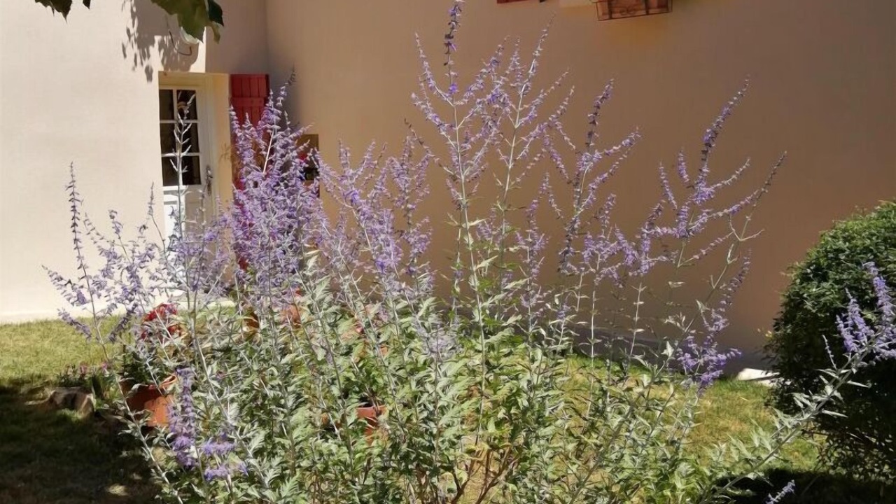 Photo of Outdoor in Montredon-Labessonnie