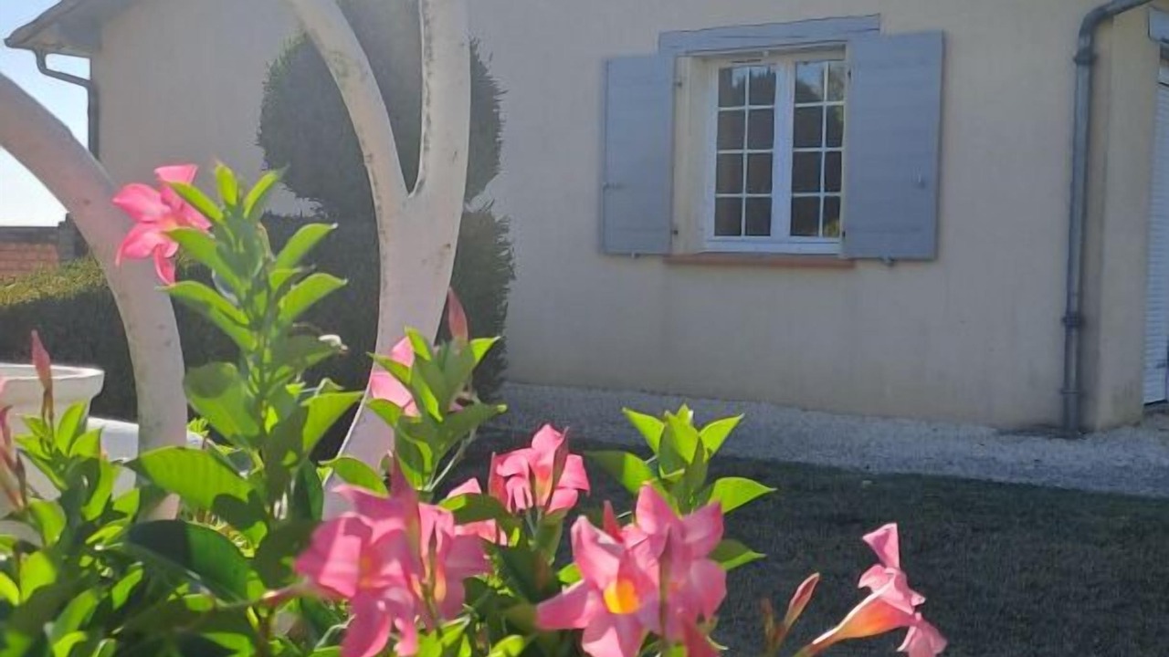 Photo of Outdoor in Montdurausse