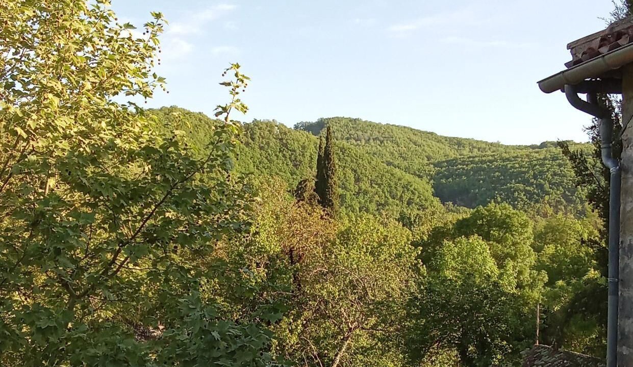 Photo of Outdoor in Montrosier