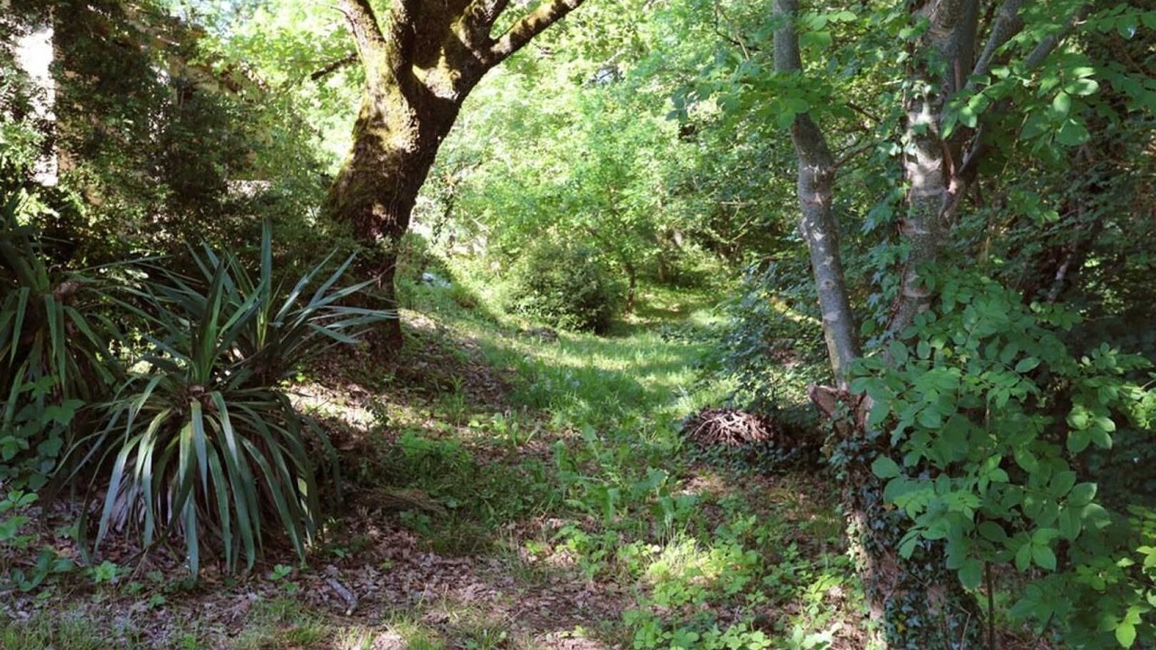 Photo of Outdoor in Tonnac