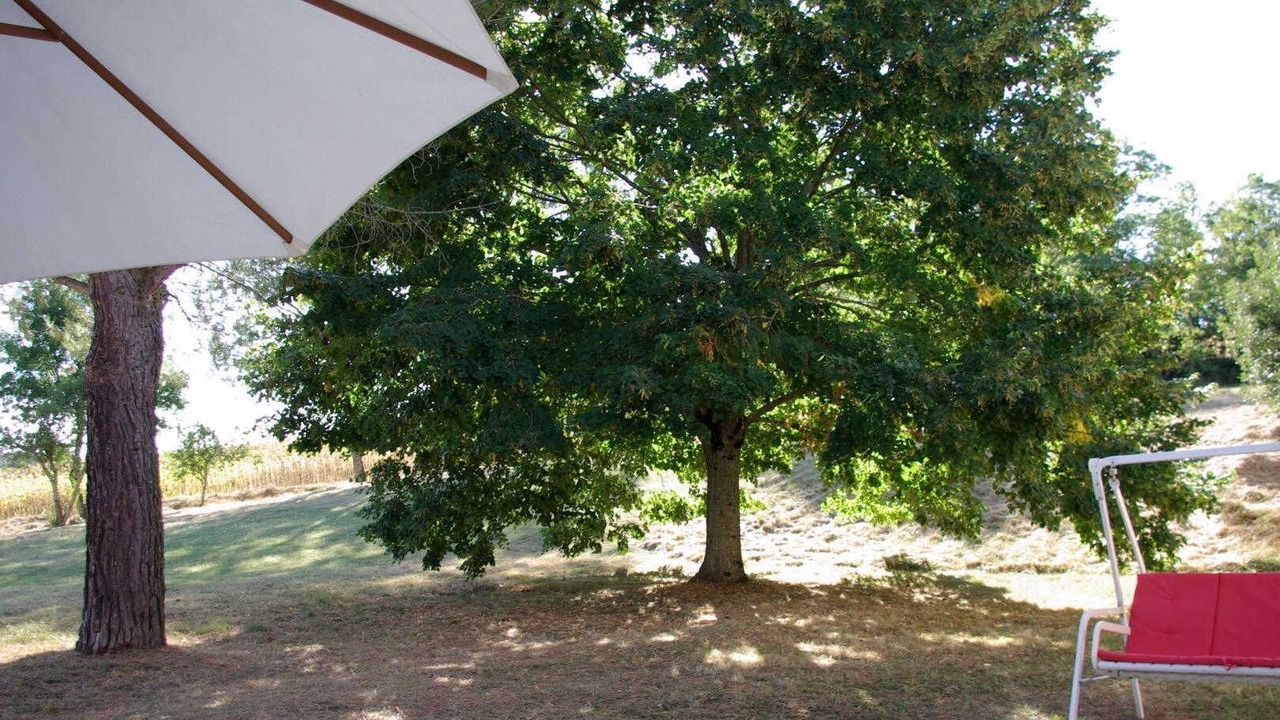 Photo of Outdoor in Puylaurens