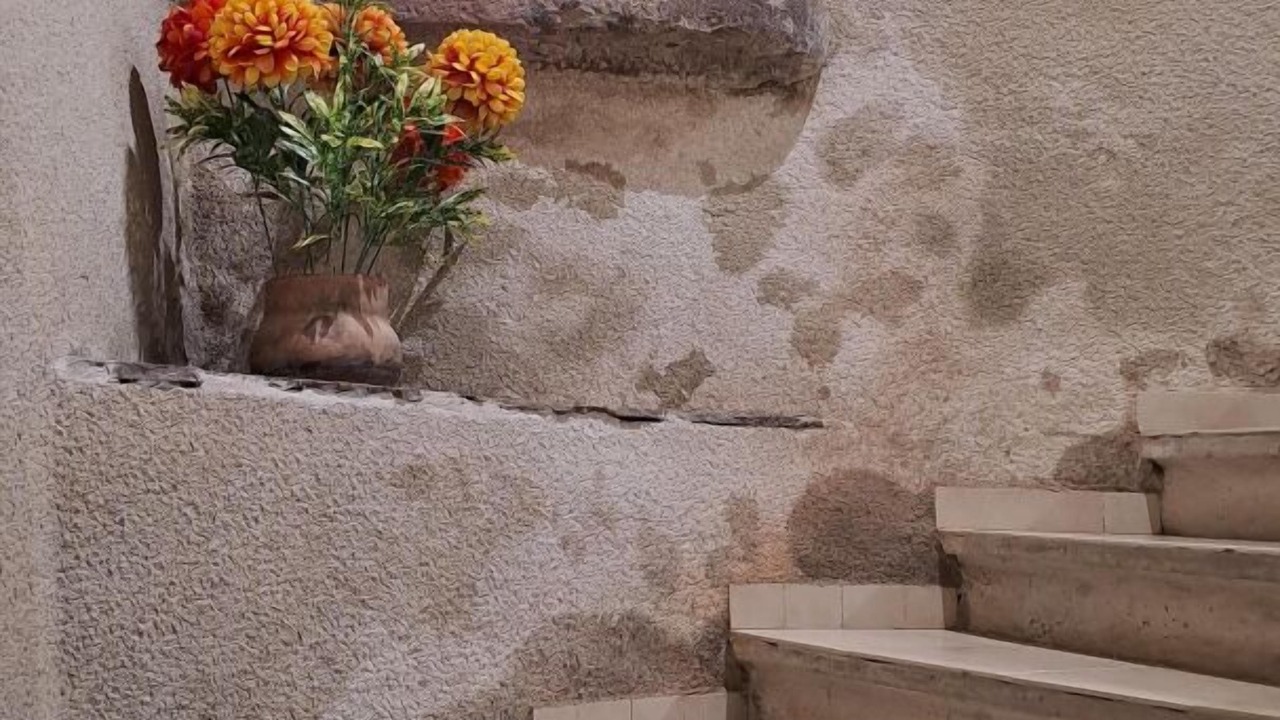 Photo of Others in Murat-sur-Vebre