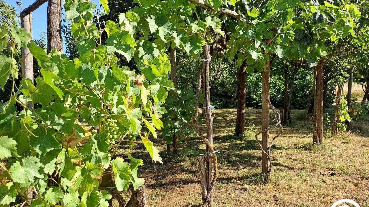 Photo of Outdoor in Saint-Sernin-les-Lavaur