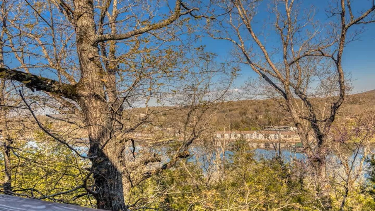 Photo of Others in Branson