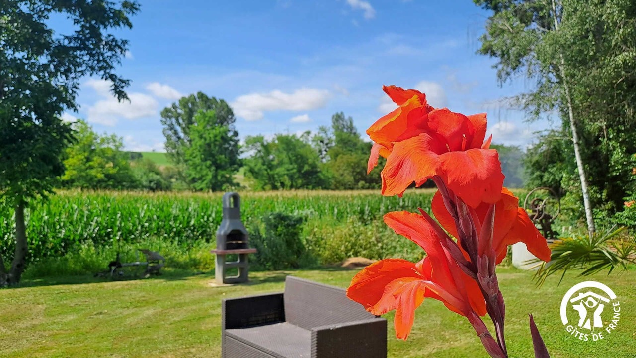 Photo of Outdoor in Montgaillard