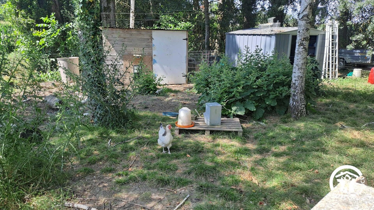 Photo of Outdoor in Montgaillard