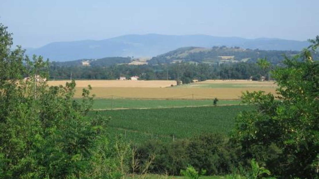 Photo of Others in Frejeville