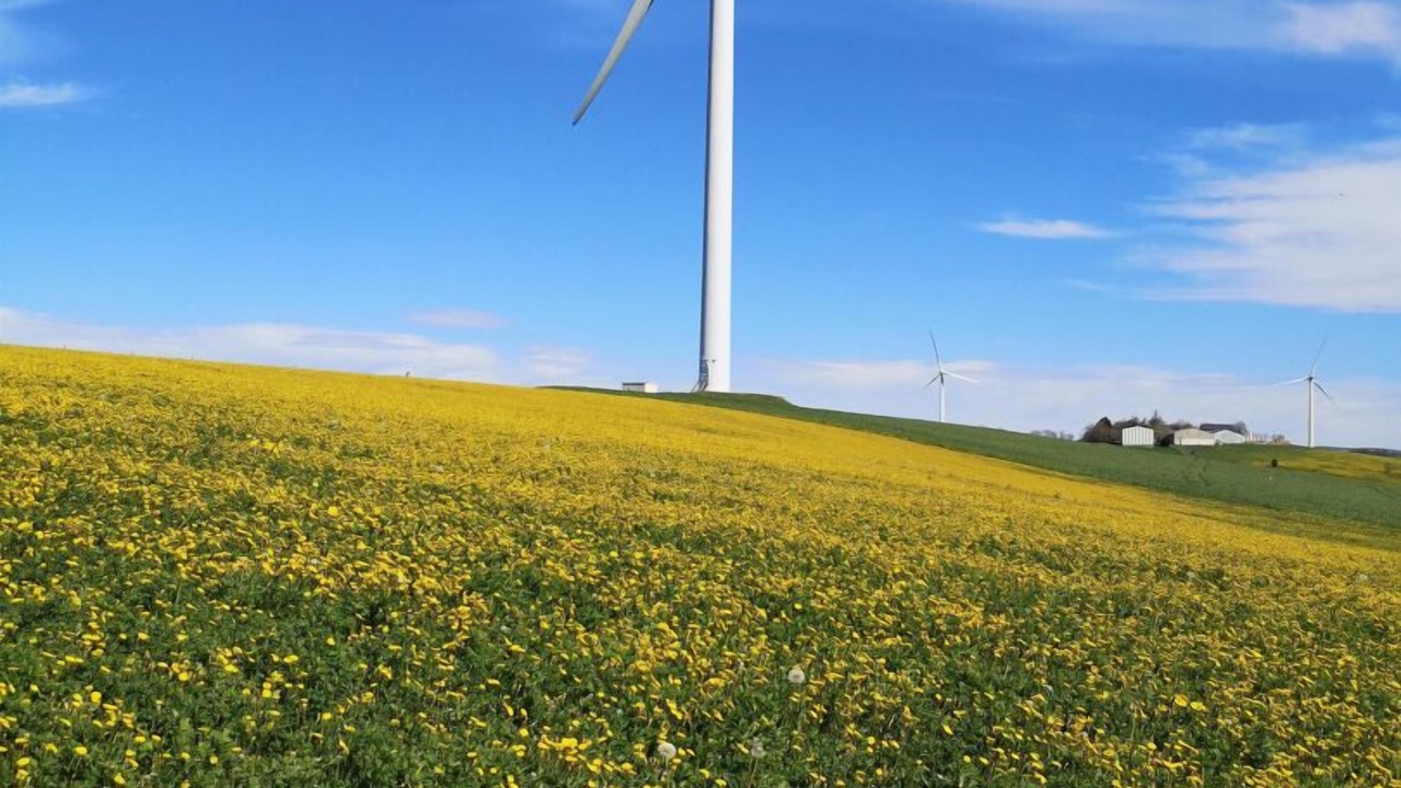 Photo of Others in Assac