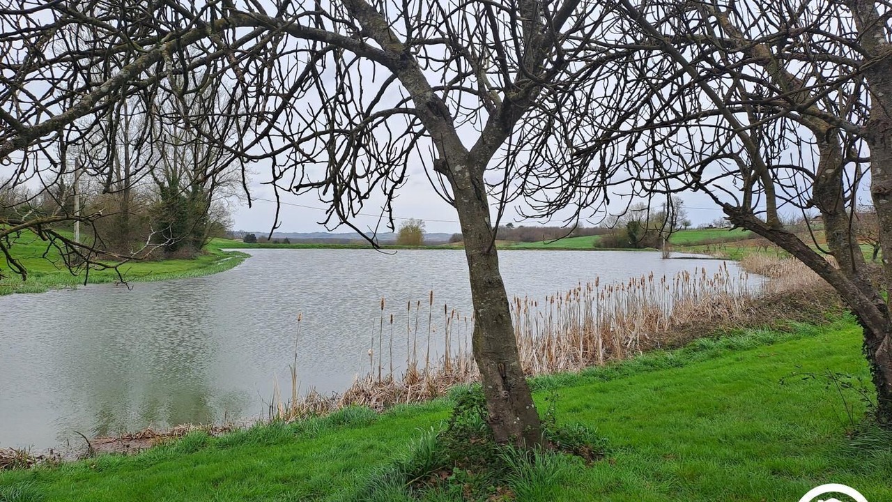 Photo of Others in Parisot