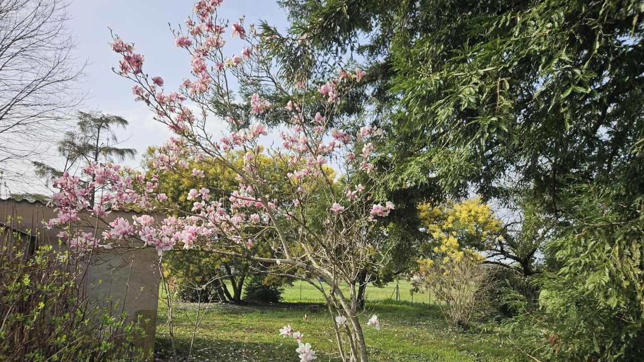 Photo of Outdoor in Albi