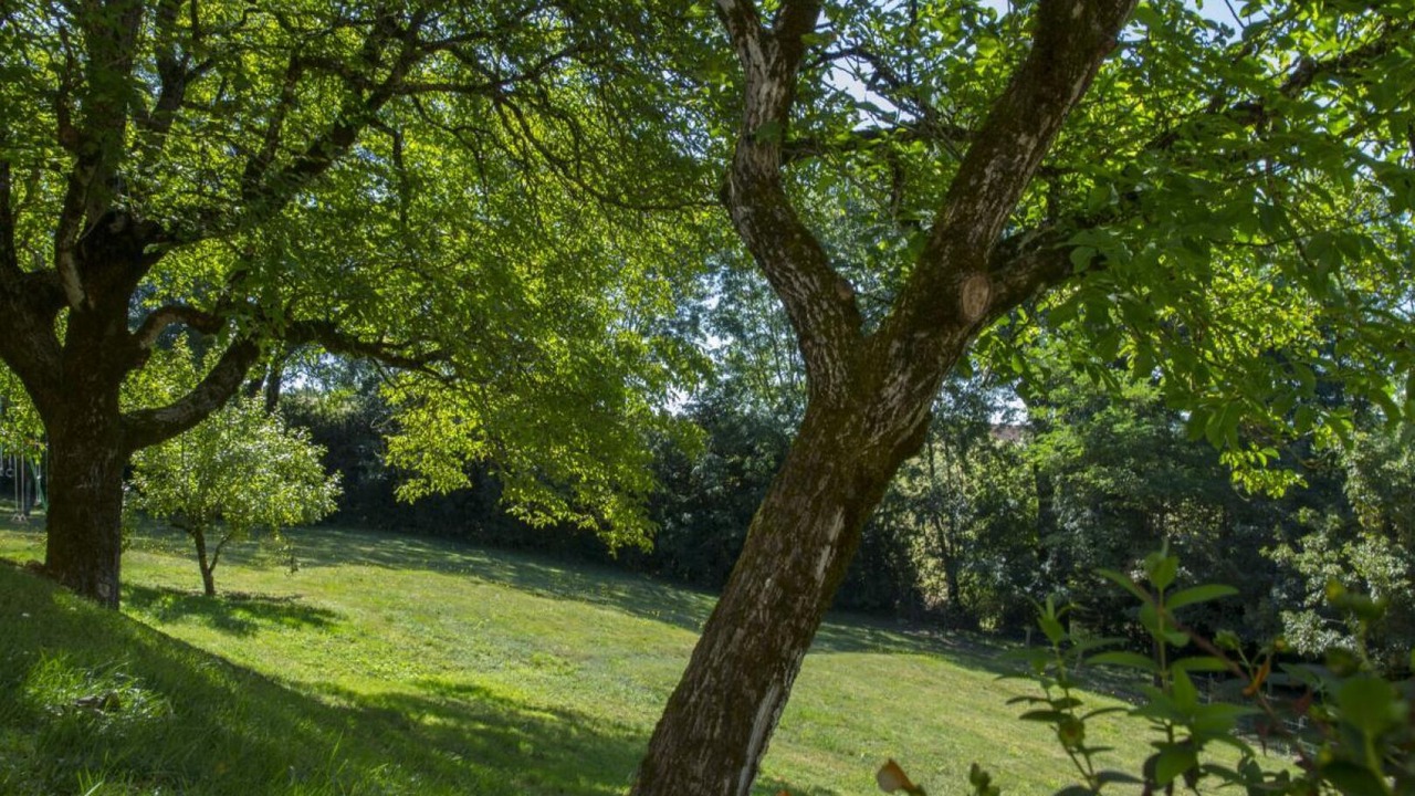 Photo of Outdoor in Arifat