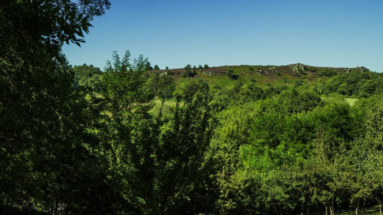 Photo of Others in Arifat