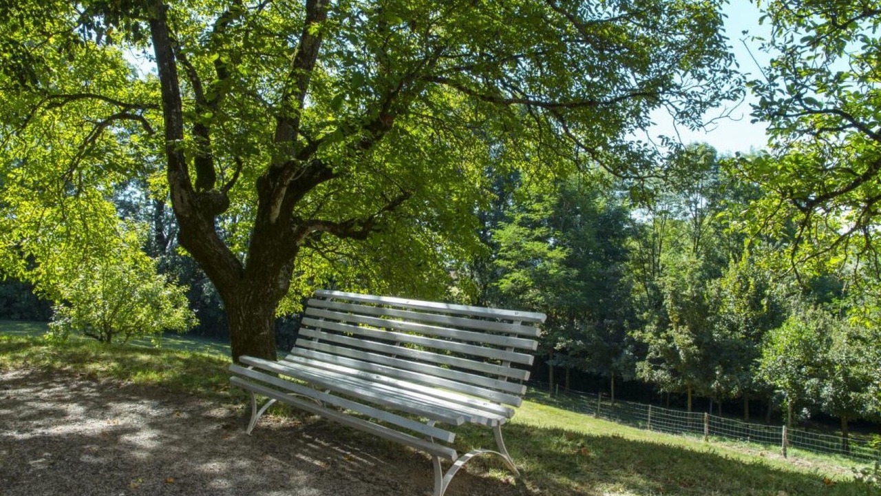 Photo of Outdoor in Arifat