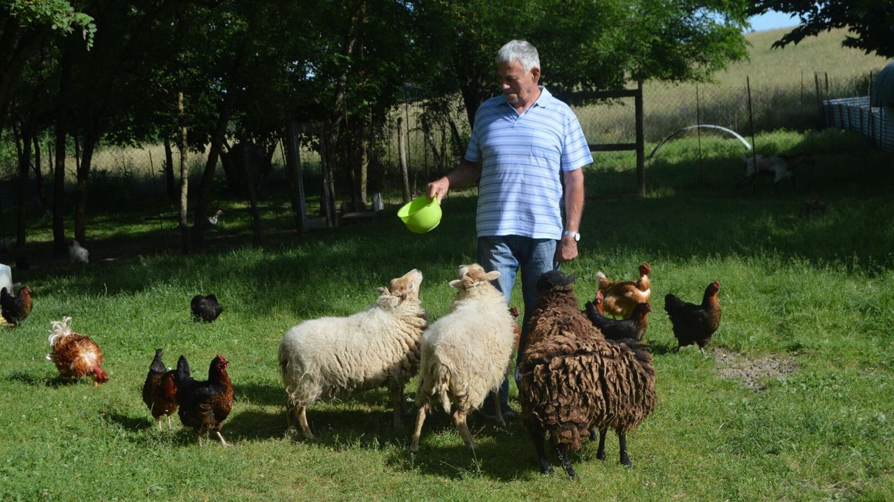 Photo of Others in Saint-Gauzens