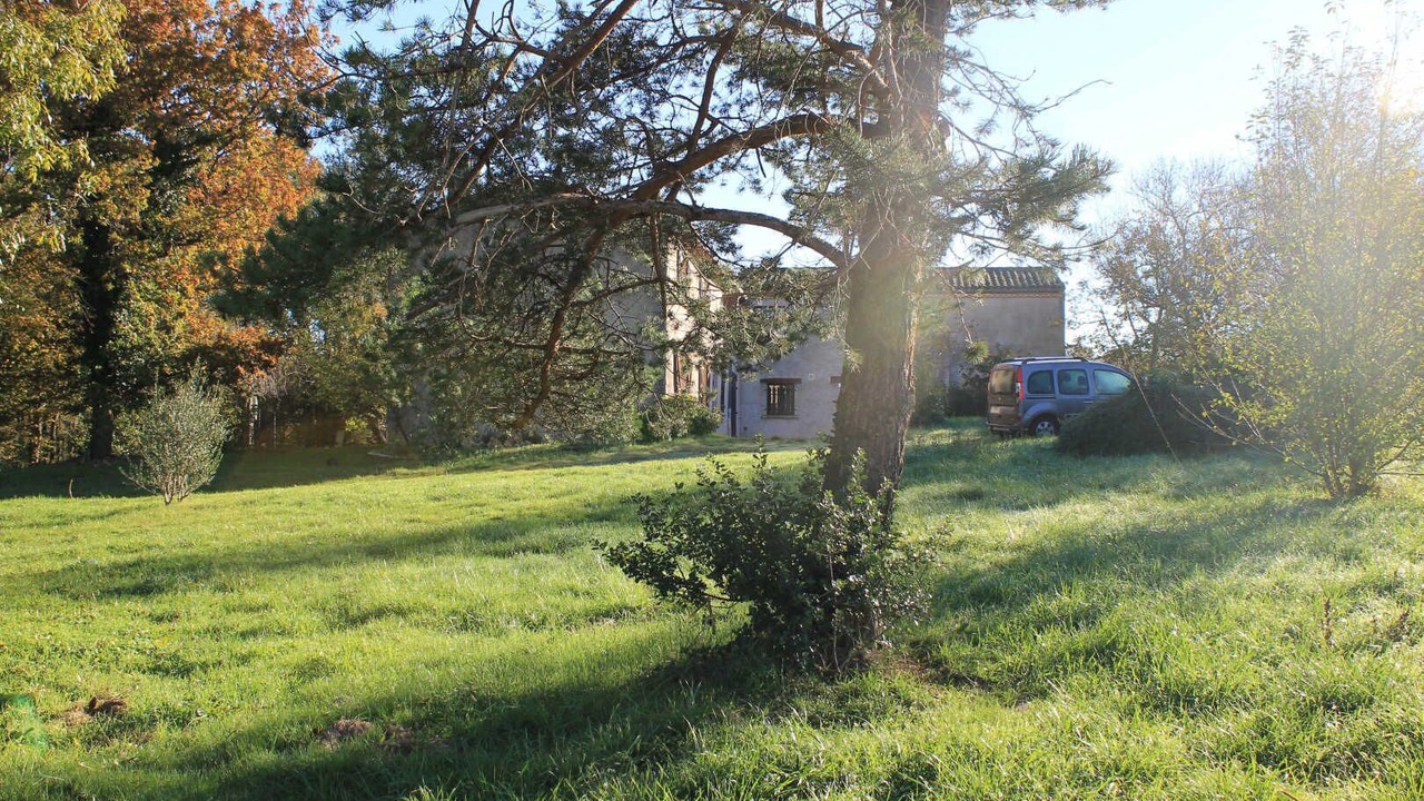 Photo of Outdoor in Castres