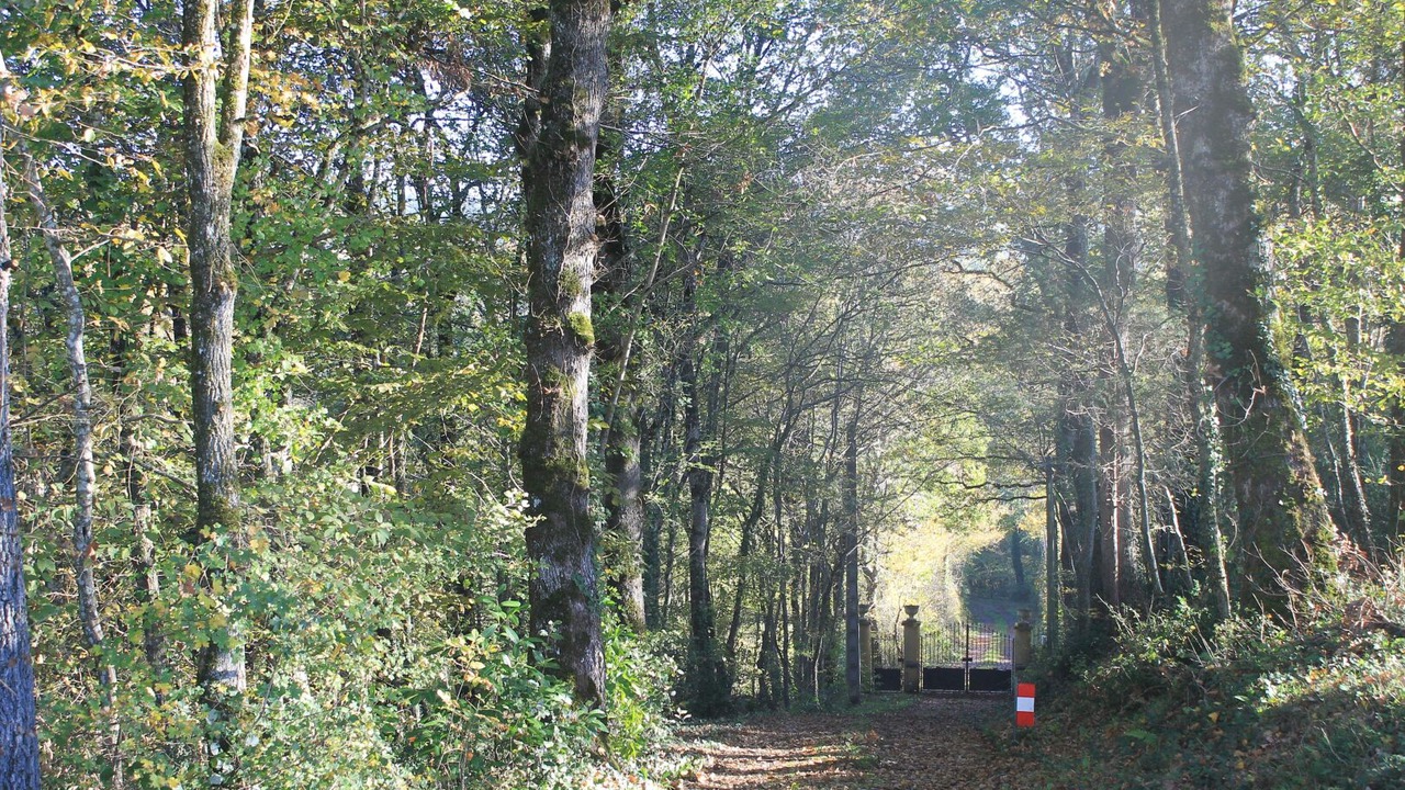 Photo of Others in Castres