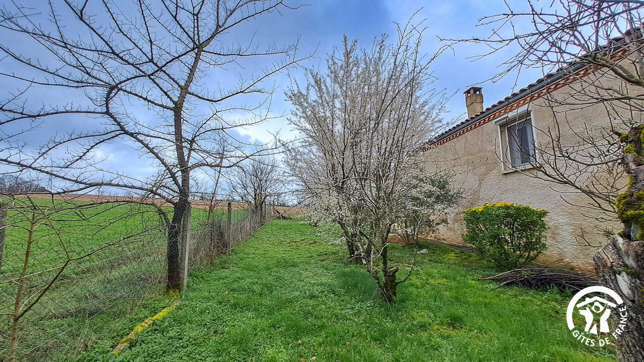 Photo of Outdoor in Castres