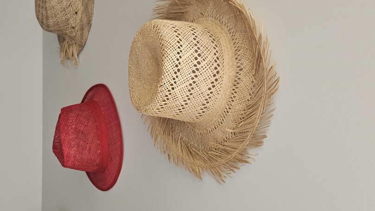 Photo of Others in Castres