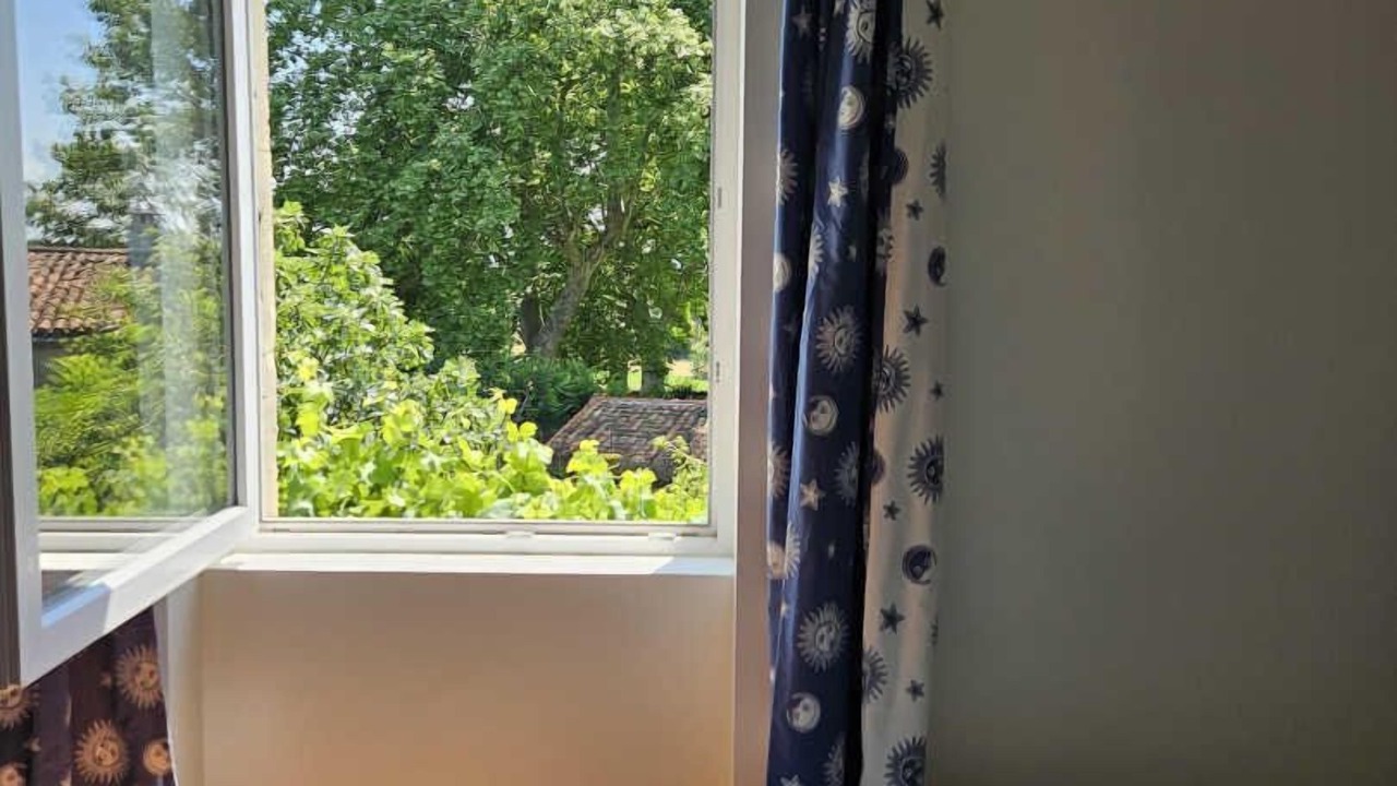 Photo of Others in Castres