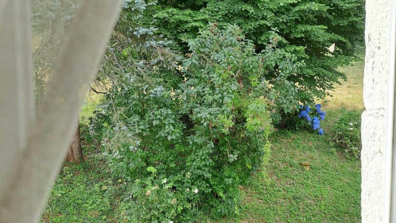 Photo of Others in Gijounet