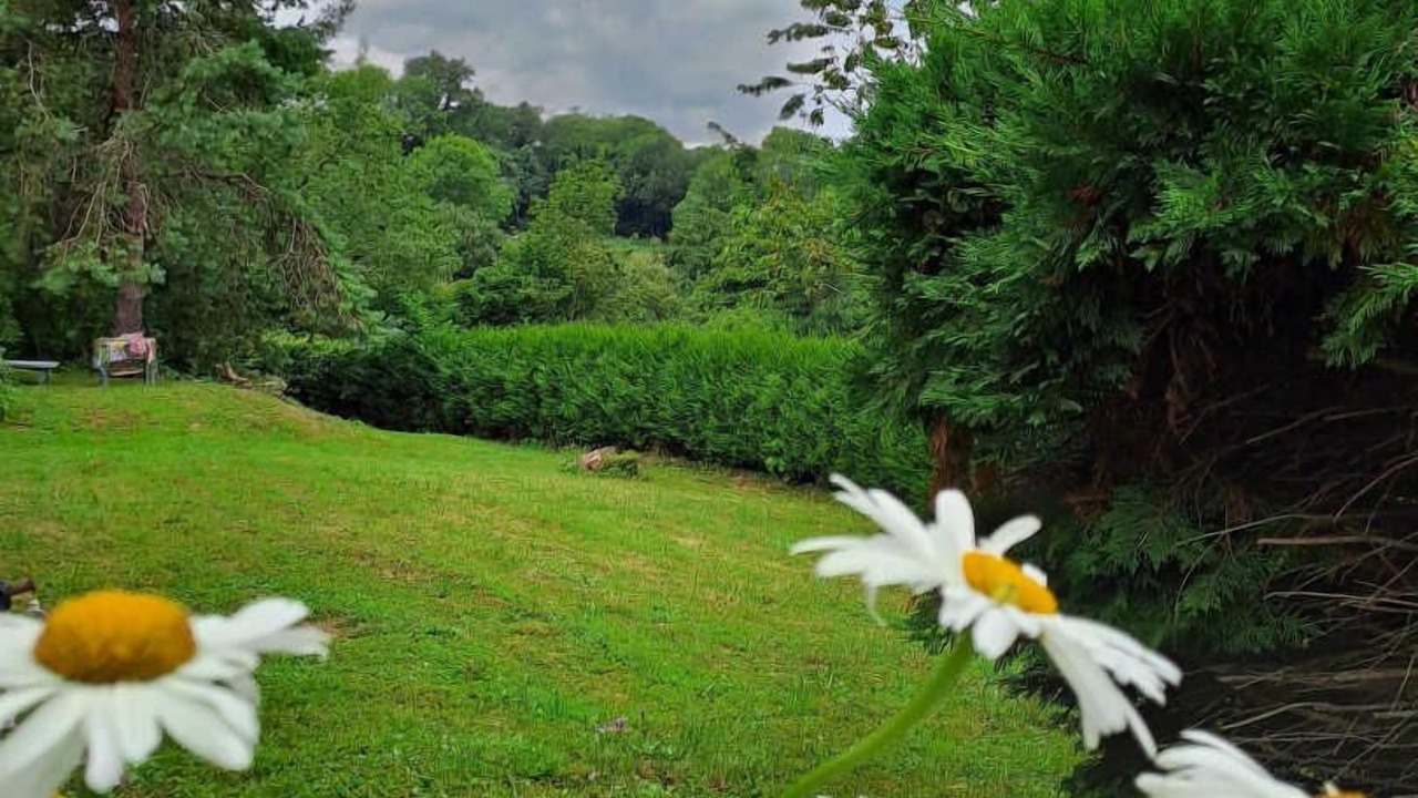 Photo of Outdoor in Gijounet