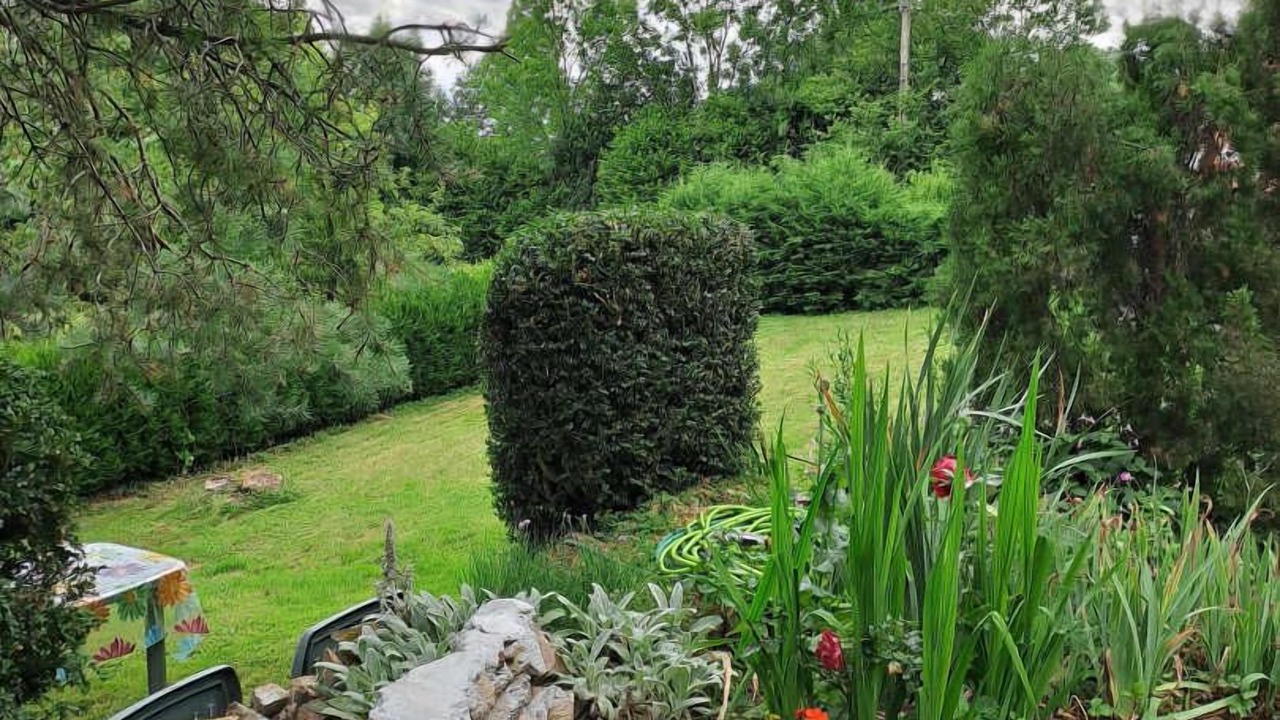 Photo of Outdoor in Gijounet