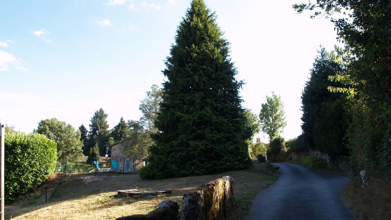 Photo of Others in Saint-Salvy-de-la-Balme
