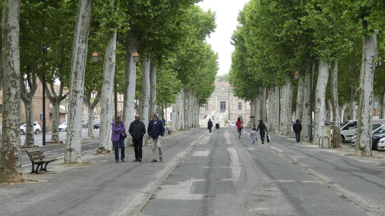 Photo of Others in Lavaur