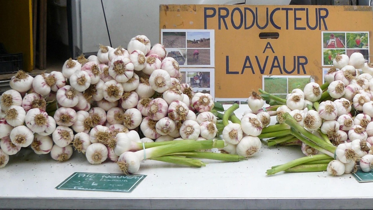 Photo of Others in Lavaur