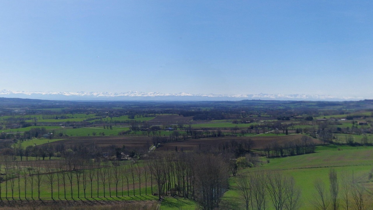 Photo of Others in Puylaurens